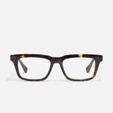Definition - Tortoiseshell