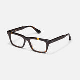 Definition - Tortoiseshell