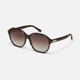 Guess Again – Neutral Tort Frame – Brown Lenses